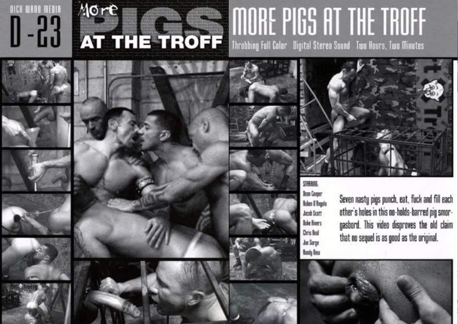 More Pigs At The Troff