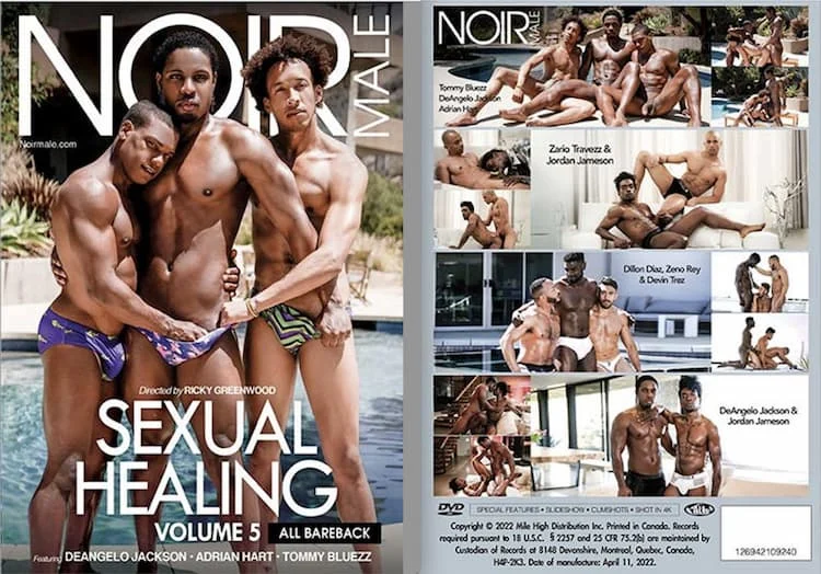 Sexual Healing Vol. 5