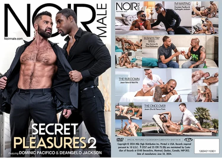 Secret Pleasures 2